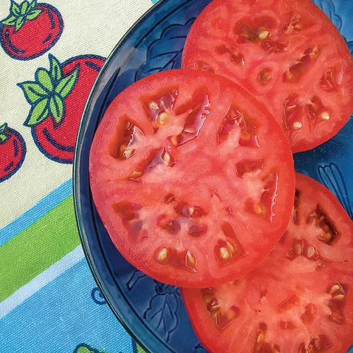 Vista 2 de Bonnie Plants Tomate rojo beefsteak 19.3 oz. paquete de 4