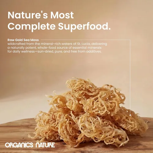 Vista 4 de Organics Nature Musgo marino crudo silvestre Orgánico silvestre artesanal y certificado sin OMG Aprobado por Dr. Sebi Haz 5 frascos de gel