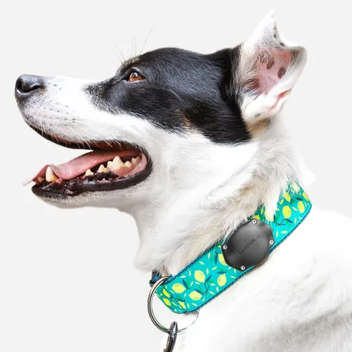 Vista 8 de Elevation Lab TagVault AirTag - Soporte para collar de perro (individual) - IP69 impermeable, no cuelga, se adapta a todos los collares de ancho