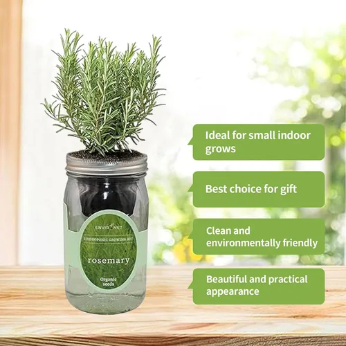 Vista 3 de Kit de cultivo hidropónico de hierbas Environet, kit de inicio de jardín de hierbas en tarro de vidrio Mason para interiores, jardín de hierbas