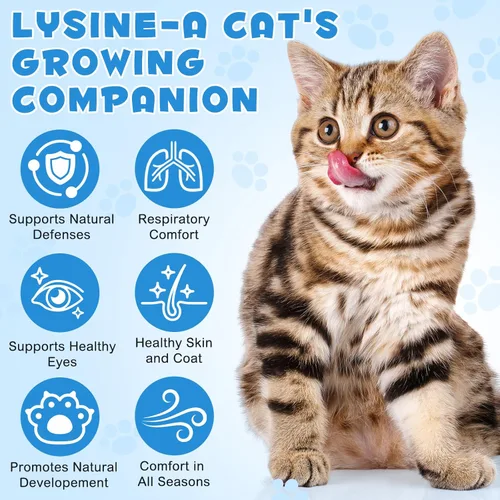 Vista 3 de NIFEISHI Suplemento líquido de L-lisina para gatos, para salud respiratoria, estornudos, secreción nasal y cuidado de los ojos, para gatos de todas