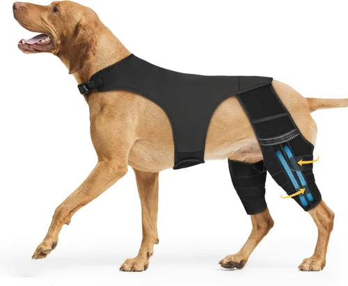 Vista 9 de Rodillera de perro para pierna trasera Acl, soporte de pierna de perro para pierna trasera, soporte de cadera ajustable para reducir el dolor