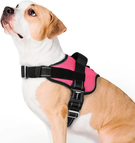 Vista 11 de rabbitgoo Arnés para perro pequeño, chaleco fácil de poner para mascotas con una hebilla, arnés de servicio ajustable sin tirones con anillo en D