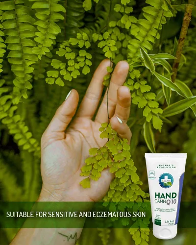 Vista 4 de Annabis HANDCANN Q10 Crema de manos orgánica con cáñamo y coenzima Q10 – Crema rejuvenecedora para manos, uñas y cutículas para pieles sensibles