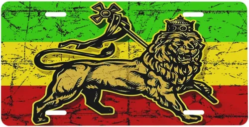 Vista 15 de Placa de matrícula de aluminio con bandera polaca de Polonia, águila polaca, cubierta de placa de matrícula frontal de metal para automóvil