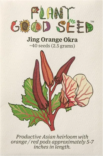 Vista 7 de Plant Good Seed Semillas orgánicas de Okra Cajun Jewel – Paquete de 40, semillas tradicionales para plantar verduras – Suministros de jardinería