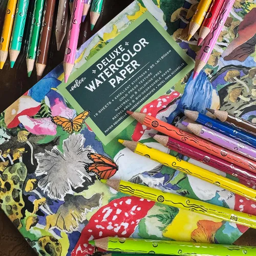 Vista 6 de eeBoo: Lápices de acuarela de hongos, 24 colores de calidad artística para dibujar, bocetos y acuarela, suministros de arte y manualidades