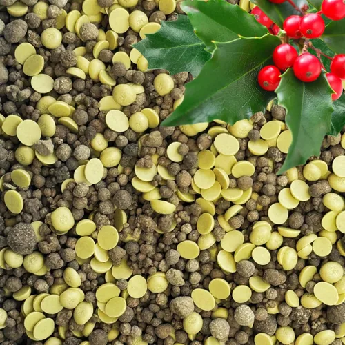 Vista 10 de 10-10-10 Fertilizante para plantas de liberación lenta - 10 10 10 Fertilizante granular multiusos de jardín para verduras, tomate, arborvitae