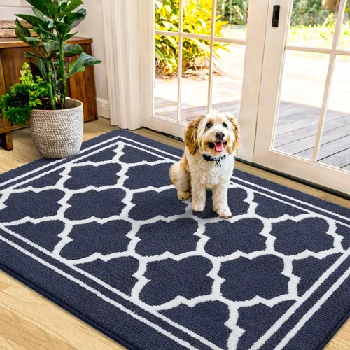 Vista 42 de Buganda Alfombra para Puerta Interior, Tapete Resistente a la Suciedad y Absorbente, Antideslizante, Alfombras de Perfil Bajo para Entrada