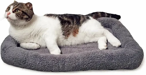 Vista 8 de LESYPET Round Cat Bed, Soft Cat Donut Beds with Pillow Around, Machine Washable Pet Cushion for Kittens/Rabbits/Hamsters, Diameter 11.8