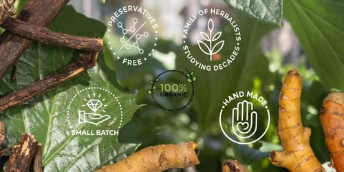 Vista 8 de Candida Cleanse Gotas de hierbas bajas en alcohol 100% orgánicas y hechas a mano Caléndula, Pau D'Arco, roble blanco y más Fórmula de 9