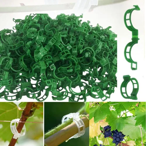 Vista 9 de Clips de soporte para plantas, clip de jardín verde, clips para plantas trepadoras, clips para plantas trepadoras, clip de jardín para plantas