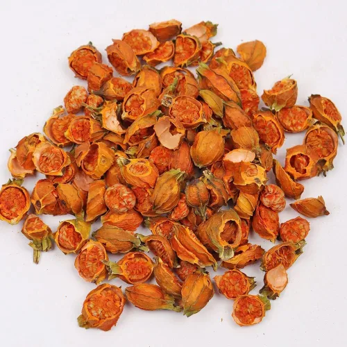 Vista 3 de Polvo de extracto de fruta de Gardenia puro orgánico natural, 1.1 libras (17.64 oz)