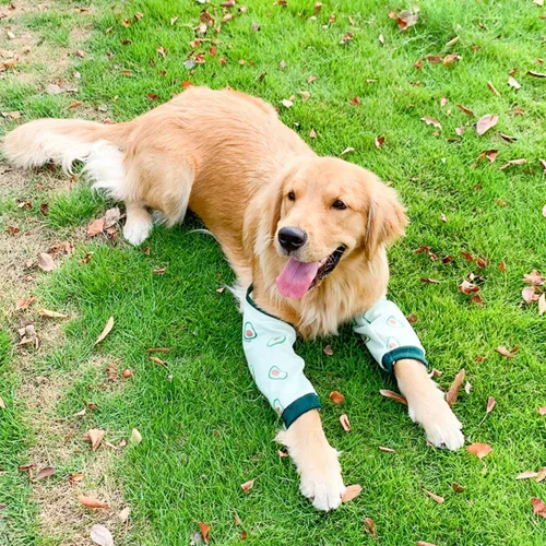 Vista 6 de Protector de codo para perro, coderas gruesas con almohadilla de malla para perros medianos y grandes, para invierno y otoño, evita lamer heridas