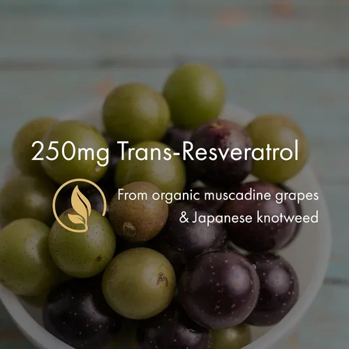 Vista 3 de NAOMI Resveratrol orgánico 250 mg, sin OMG, sin gluten, suplemento antioxidante vegano, apoya la salud cardiovascular y celular, envejecimiento