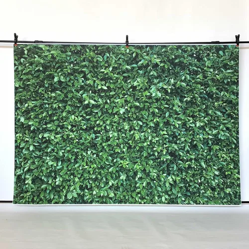 Vista 4 de Fondo de fotografía de hojas verdes primaverales de 7 x 5 pies, para fiestas, eventos, fotografía, telón de fondo de hojas naturales, fondo
