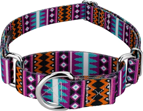 Vista 21 de Country Brook Petz - Collar de perro Albuquerque Martingale - Colección Country and Western con diseños rústicos (1/2 pulgada, 2XS)