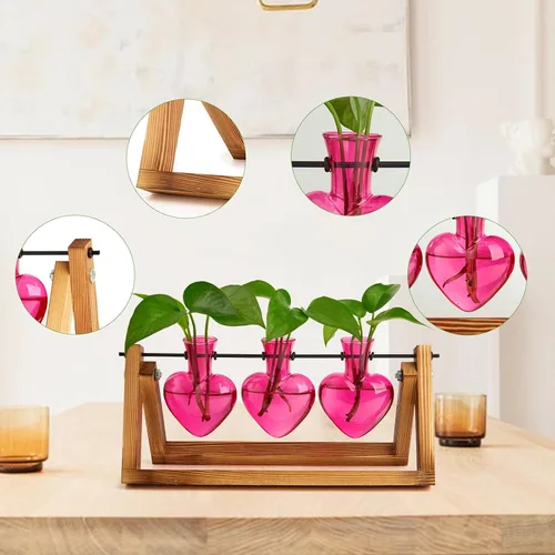 Vista 3 de XXXFLOWER Estaciones de propagación de terrarios de plantas, regalos únicos para mujeres, esposa, mamá, amantes de las plantas, 3 jarrones