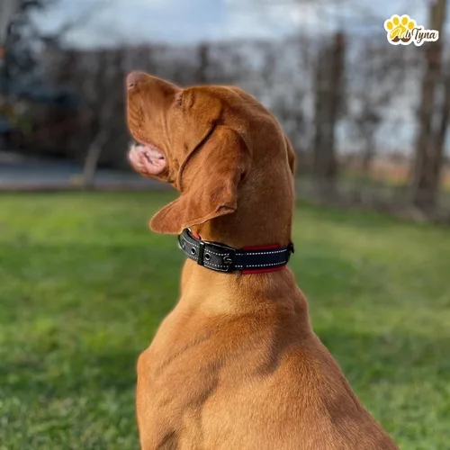 Vista 4 de Collares para perros pequeños, acolchados, ultra cómodos, de neopreno suave, reflectante, resistente, collar pequeño negro