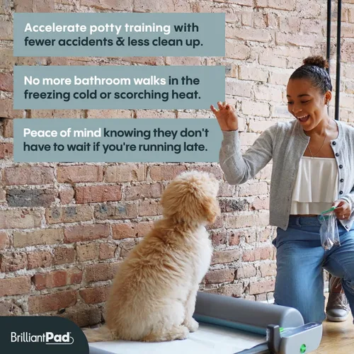 Vista 6 de BrilliantPad Orinal inteligente para interior para perros pequeños Auto limpieza con control de olores, monitoreo de salud AI, alternativa al