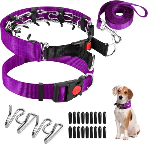 Vista 18 de Collar de entrenamiento de puntas con puntas cómodas y hebilla de cierre rápido – Collar de pellizco para perro con cubierta de nailon