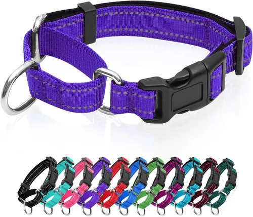 Vista 10 de Collares de perro Martingale reflectantes. Collar de perro con hebilla de liberación rápida. Collar de mascota de nylon ajustable, suave, acolchado