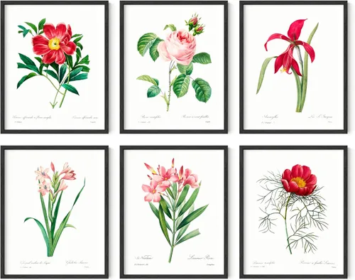 Vista 10 de HAUS AND HUES Pósteres florales y de plantas, juego de 6 impresiones botánicas, arte de pared de flores y plantas, decoración botánica