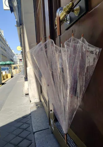 Vista 5 de SMATI París - Paraguas transparente de jaula para pájaros con diseño de constelación - Transparente Resistente al viento Apertura automática Mango