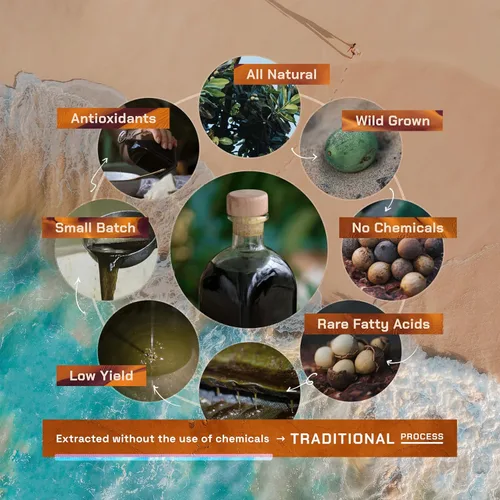 Vista 4 de Aceite de tamanu Sin productos químicos Aroma natural Sin refinar, crudo, prensado en frío, solidifica en invierno Origen indio orgánico