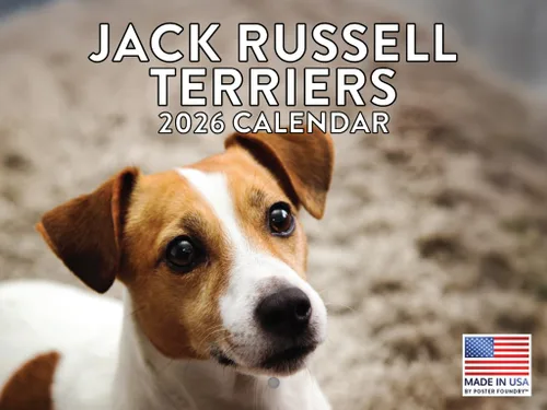 Vista 149 de Calendario mensual de pared Airedale Terrier Dog 2027 rojo (Airedale Terrier)