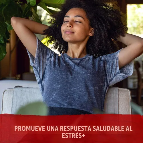 Vista 3 de Garden of Life Suplemento orgánico de Ashwagandha con probióticos y jengibre, apoyo para el estrés, el estado de ánimo y la energía, vegano, sin