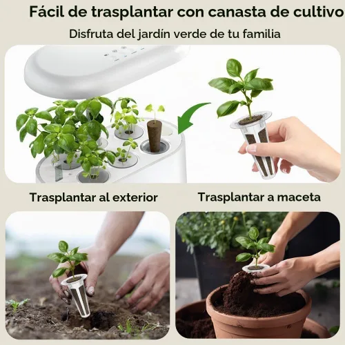 Vista 4 de Kit de semillas de hierbas hidropónicas inbloom para AeroGarden, iDoo, Ahopegarden, GARDENCUBE, 7 vainas