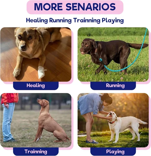 Vista 6 de FUAMEY Soportes para patas de perro para pierna trasera