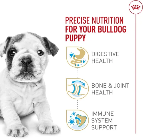 Vista 4 de ROYAL CANIN NUTRICIÓN SANA PARA RAZA bulldog cachorro, alimento seco para perro