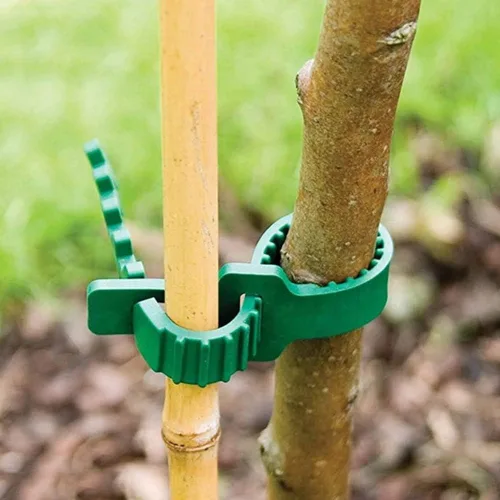 Vista 2 de 8 bandas de soporte para estacas de árbol, correas de árbol para estacas, entrelazado ajustable resistente, reutilizables, para plantas de jardín