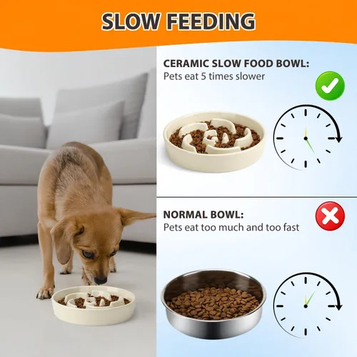 Vista 5 de Cuenco de cerámica para perros de alimentación lenta, 2 tazas de plato de Flor - Blanco