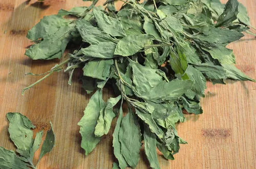 Vista 4 de Hojas y tallos de Epazote Secos, Hojas de Epazote con ramas, Hierbas Naturales Mexicanas 2 oz y 4 oz (2)