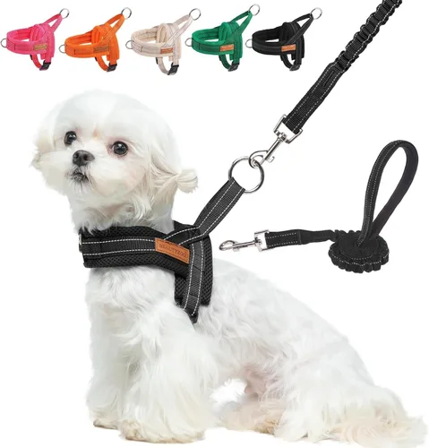 Vista 51 de BEAUTYZOO Arnés para Perros Pequeños, Juego de Arnés y Correa sin Tirones, Arnés de Pecho para Cachorros a Prueba de Escapes con Mango, Arnés Beige