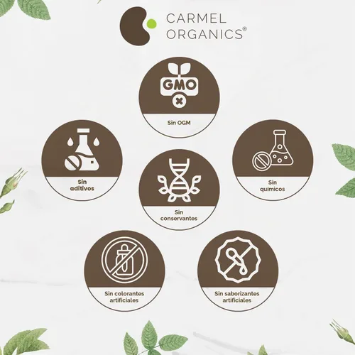 Vista 4 de CARMEL ORGANICS Mucuna Pruriens Semillas Naturales (Blancas) en Polvo 8 Onzas o 0.5 Lb/227 Gramos Sin GMO Kosher Polvo de Kapikachhu Sin