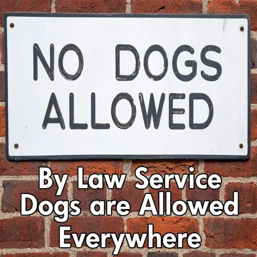 Vista 6 de Tarjetas de perro de servicio, 50 tarjetas para explicar tus derechos legales a llevar un perro de servicio en cualquier espacio. Conozca sus