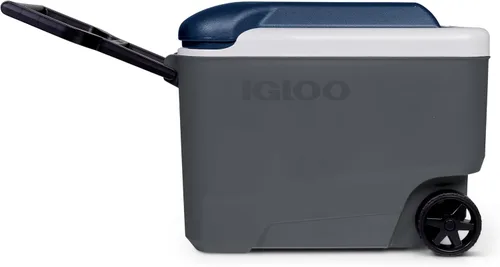 Vista 6 de IGLOO Maxcold