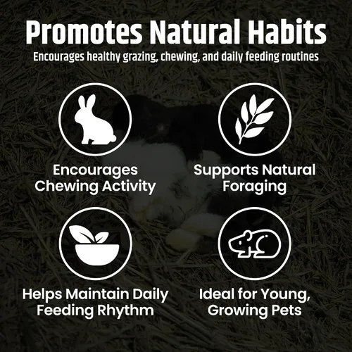 Vista 3 de High Desert Heno de alfalfa, alimento de hojas blandas rico en proteínas para animales jóvenes en crecimiento, alimento natural para conejos y heno