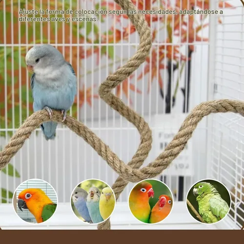 Vista 3 de 3 piezas de cuerda de pájaro para loros, jaula de pájaros, cuerda