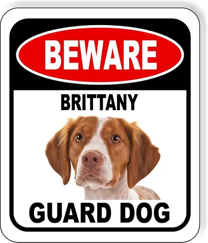 Vista 83 de BEWARE BASSETT HOUND GUARD DOG - Letrero compuesto de aluminio para exteriores, 8.5 x 10 pulgadas CUIDADO BASSETT HOUND GUARD PERRO