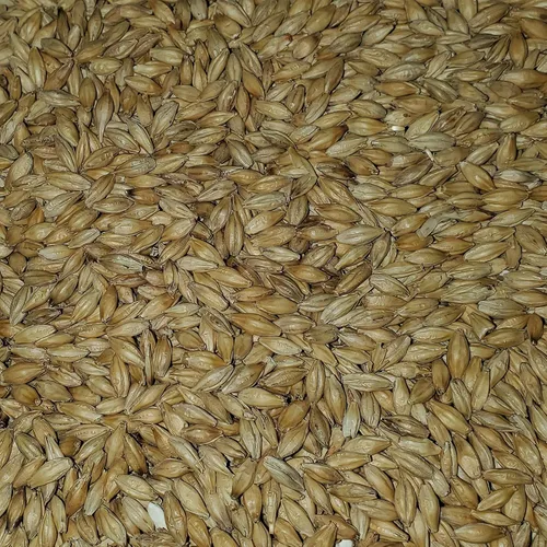 Vista 2 de Malta de grano entero para elaboración en casa, de 2-Row Brewers 10 libras.