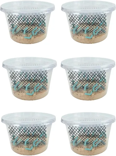 Vista 7 de Josh's Frogs Hornworms Habitat Cup (taza de 12 unidades)