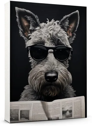 Vista 64 de Thuan Affenpinscher - Póster de lienzo con tus fotos, arte de pared para decoración del hogar, regalo conmemorativo para amantes de las mascotas