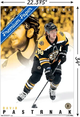 Vista 3 de Trends International NHL Boston Bruins - Póster de pared de David Pastrnák 19, 22.375 x 34 pulgadas, versión premium sin marco