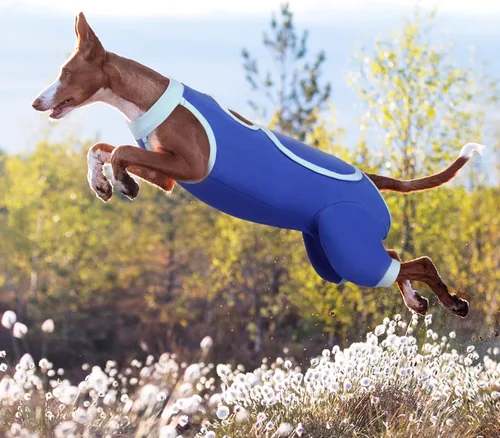 Vista 7 de ROZKITCH Manga de pierna para cirugía para perros, piernas traseras, macho y hembra para evitar lamer heridas, codo, rodillera, traje de Azul