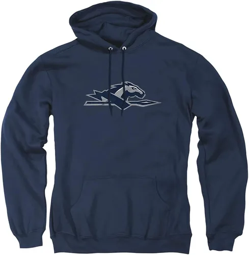 Vista 140 de Distressed College Primary Logo Adult Pullover Hoodie Collection 1 Universidad Estatal de Albany